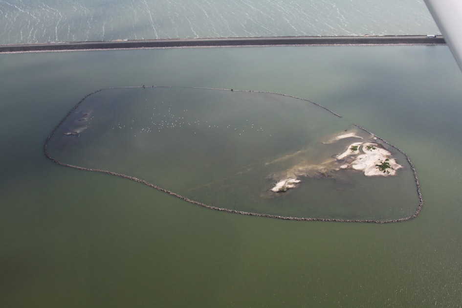 Doelen en resultaten Markermeer: opknapbeurt eiland Ierst