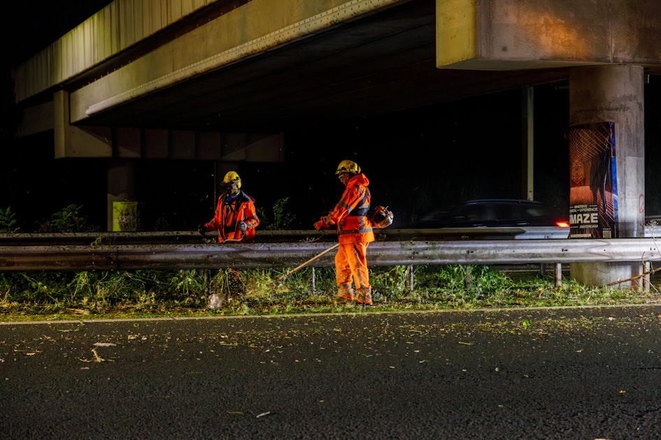 De berm als infrastructuur voor planten en dieren