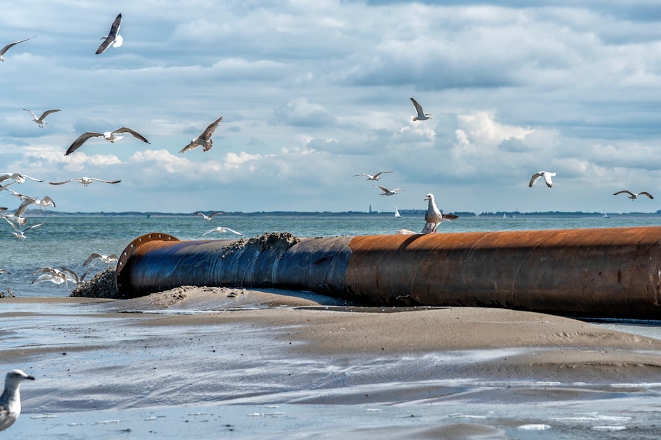Meer zand voor het strand van Nieuwvliet-Groede