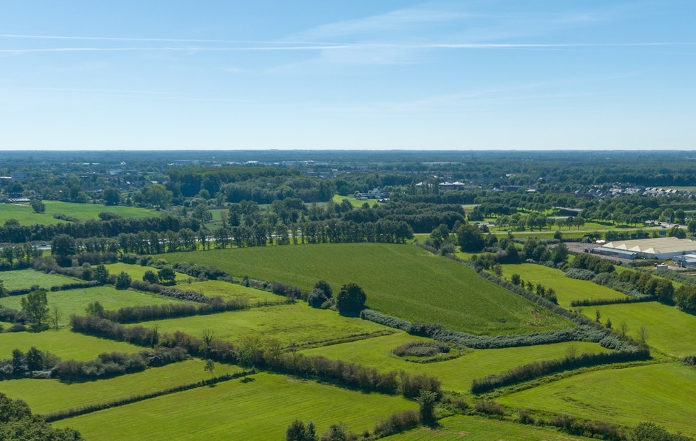 Gewijzigd plan ter inzage voor geïsoleerde geulen langs de Maas bij Beugen en Oeffelt
