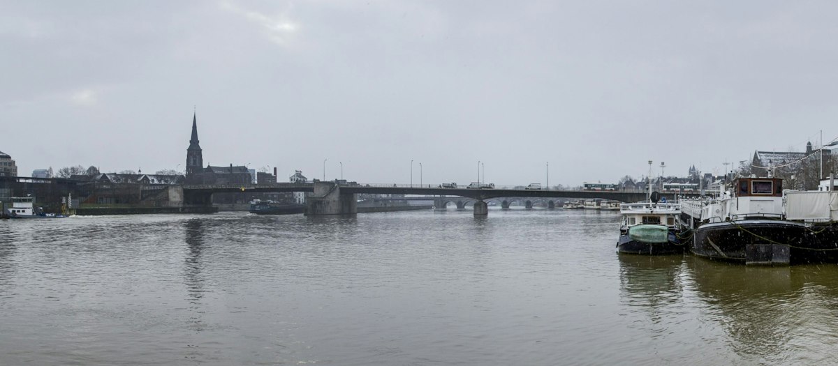 Koe Maas Rhein Toekomstige rivierafvoeren Rijn en Maas