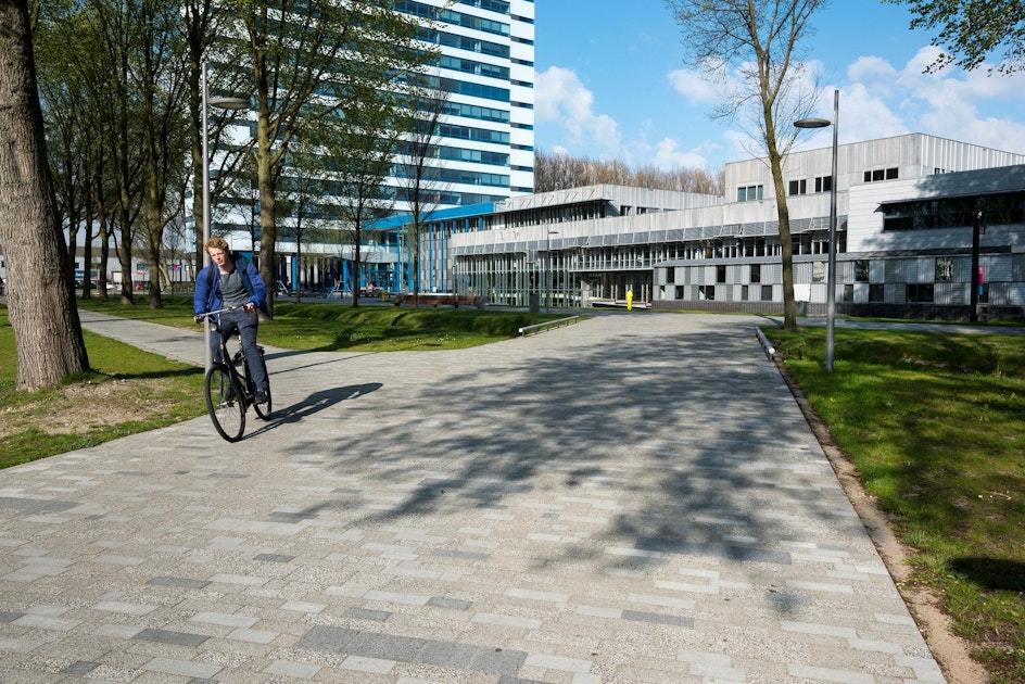 Factsheet: Onderwijsaanpak