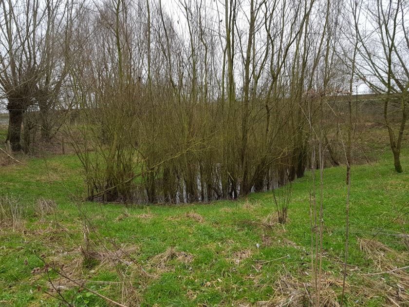 Natuuronderhoud langs toekomstige A15