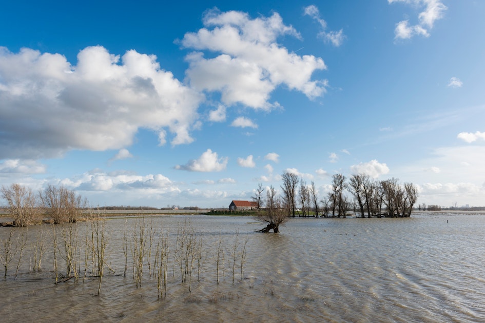 Hoogwaterpiek Maas voorbij en meer spuimogelijkheden IJsselmeer
