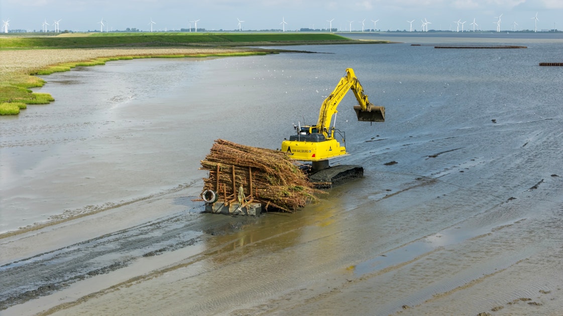 Periodiek onderhoud aan kwelders Oost-Groningen start op 15 mei
