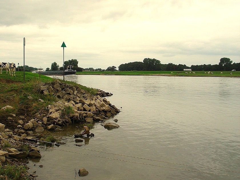 Informatieavond Riviernatuur buitenwaarden Welsum/Katerstede