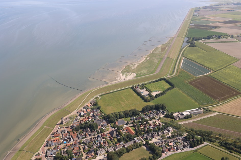 Extra bescherming voor vogels op kwelders Wierum en Ternaard