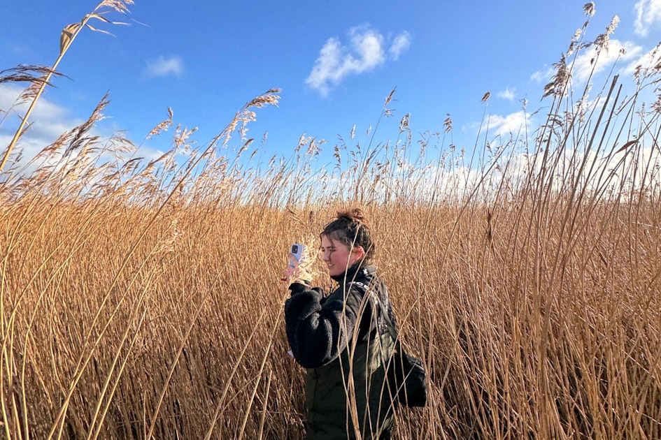 Ecologen Ymke Winkel en Werner Schimmel over natuureiland Ierst